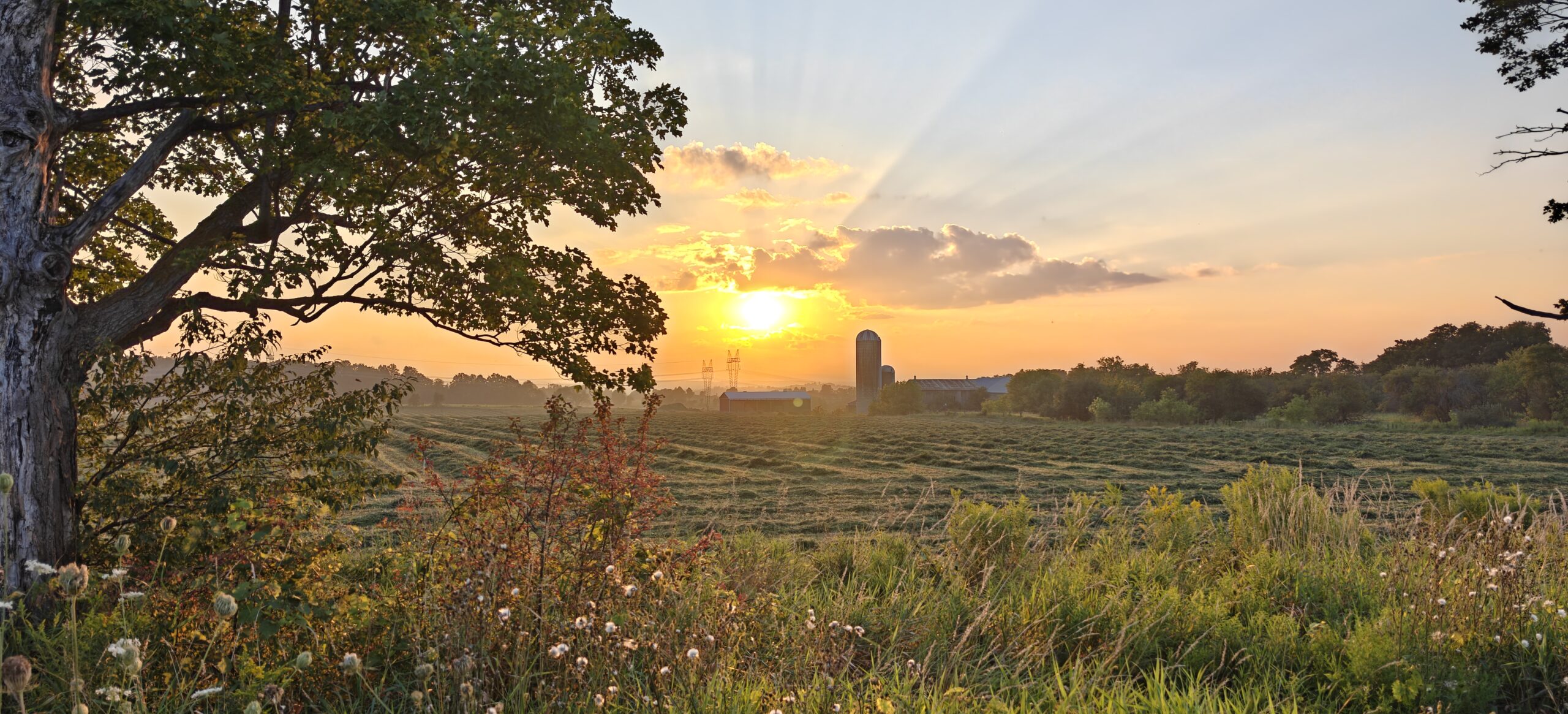 God’s Glory and Human Dignity